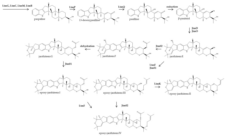 Figure 5