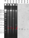 FIG 3