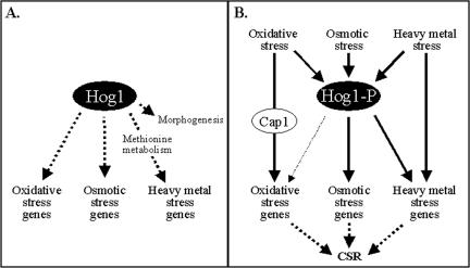 Figure 11.