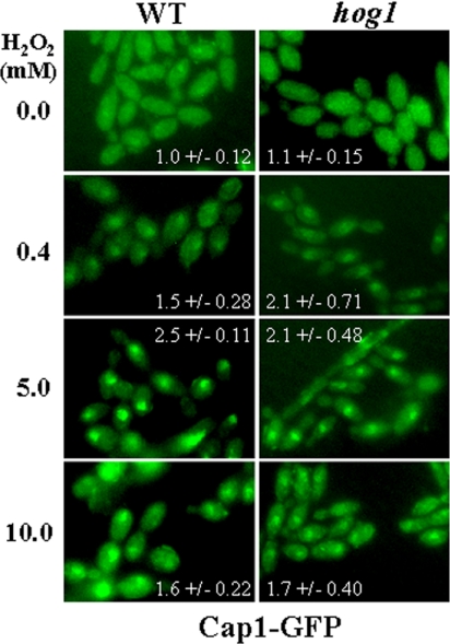 Figure 10.