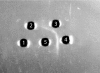 FIG. 2.
