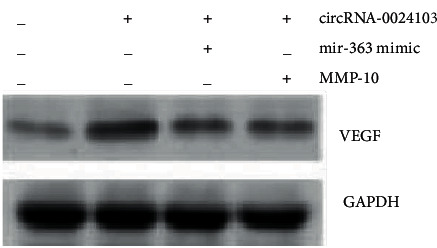 Figure 11