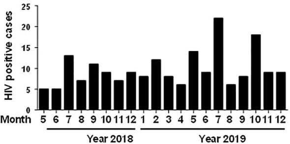 Figure 1