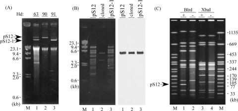 FIG. 1.