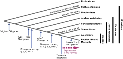 FIG. 4.—