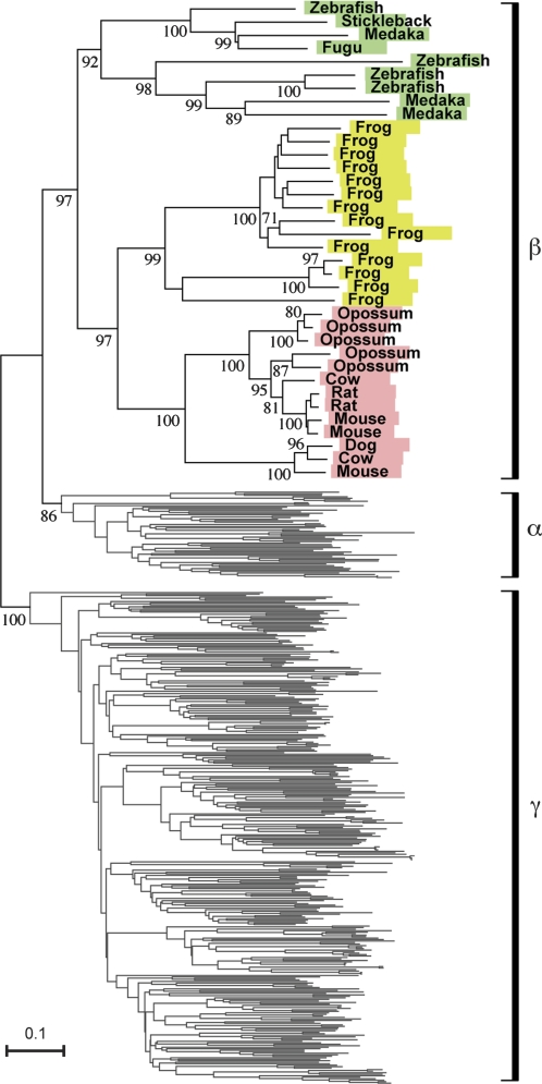 FIG. 3.—