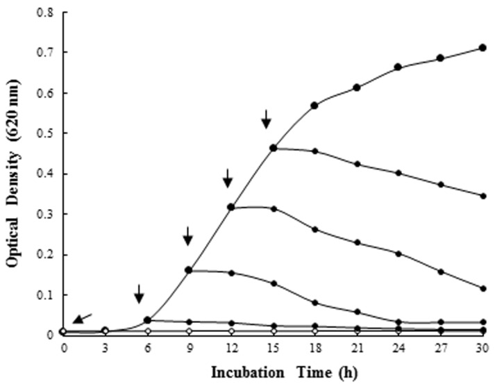 Fig. 3.