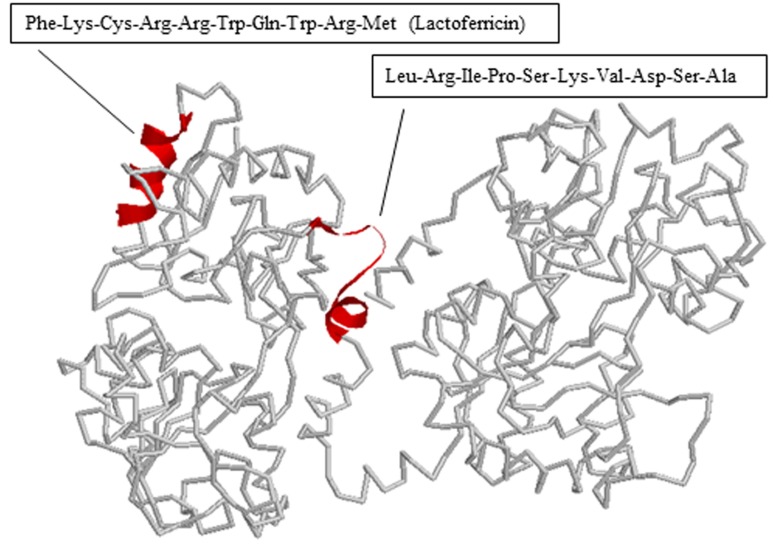 Fig. 5.