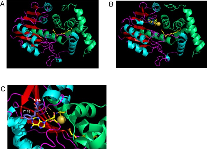 Fig 3