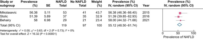 FIGURE 3: