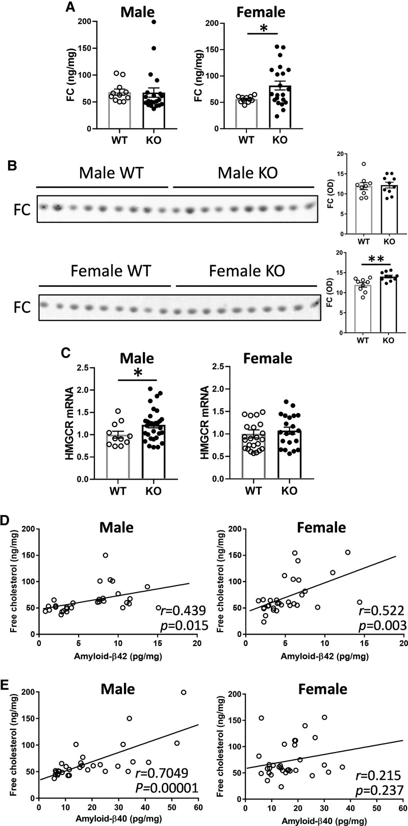 Figure 5