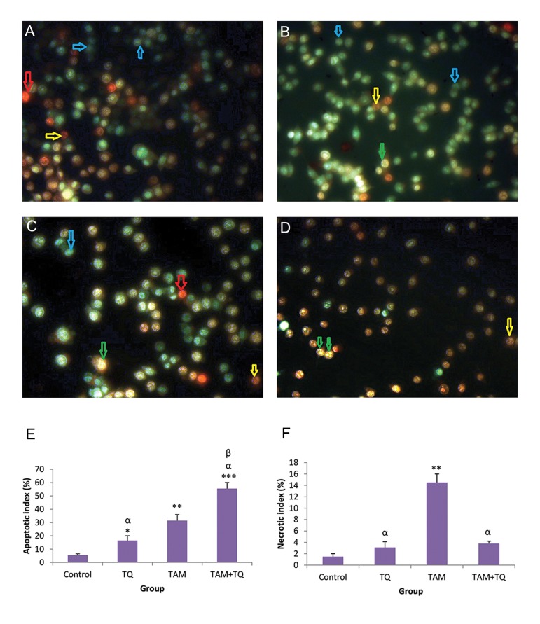 Fig.1