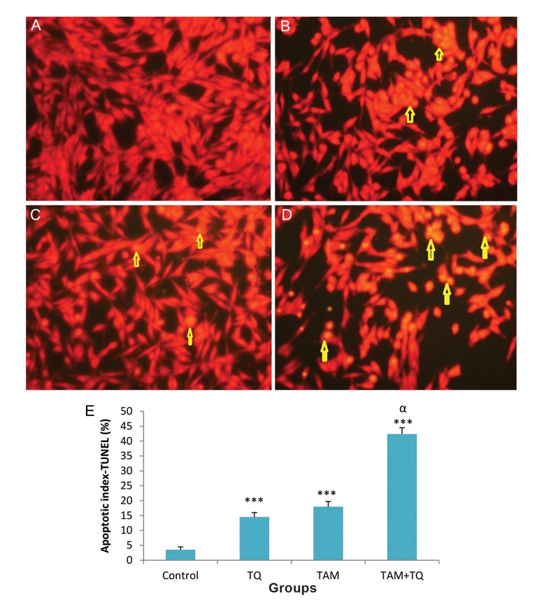 Fig.4