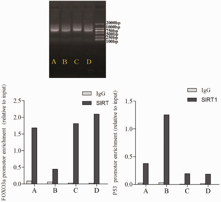 Figure 7.