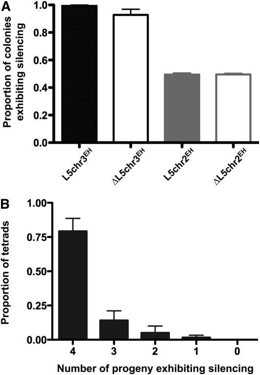 Figure 4 