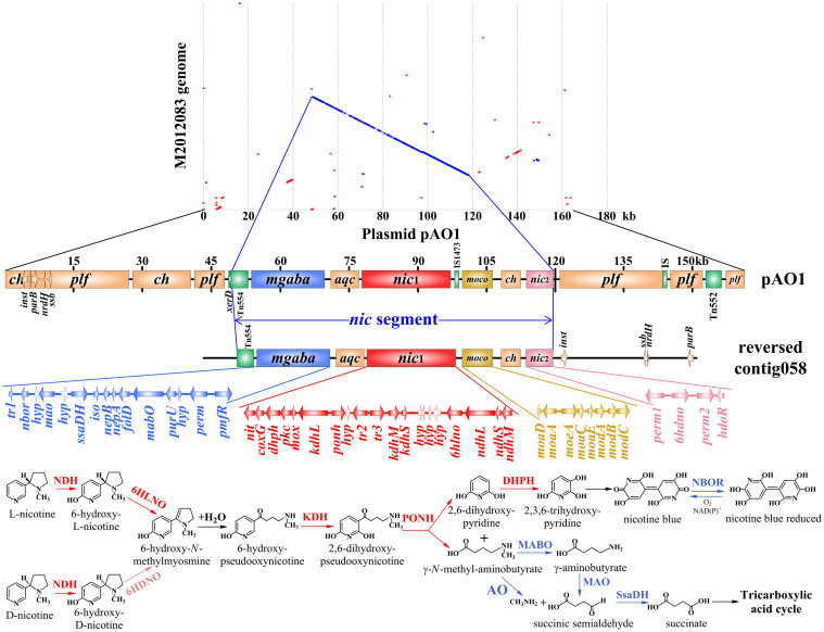 Figure 6