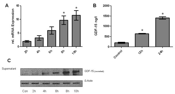 Figure 9