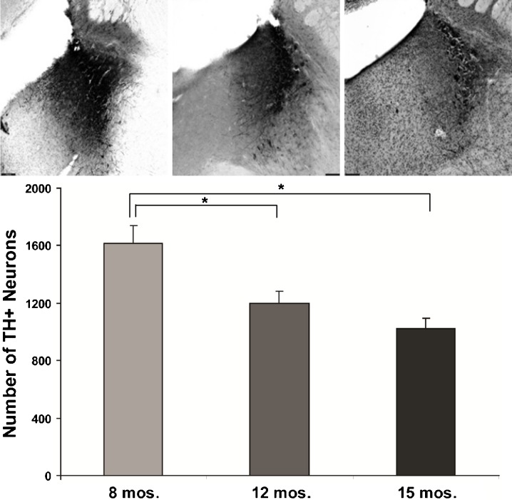 Fig. 3