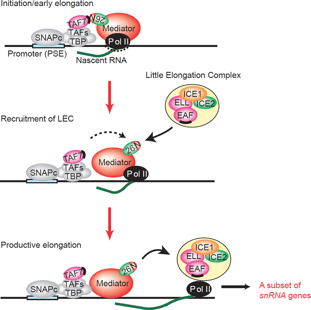 Figure 10