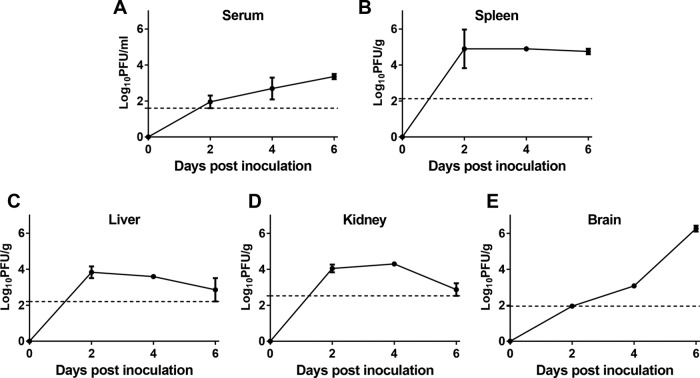 FIG 6