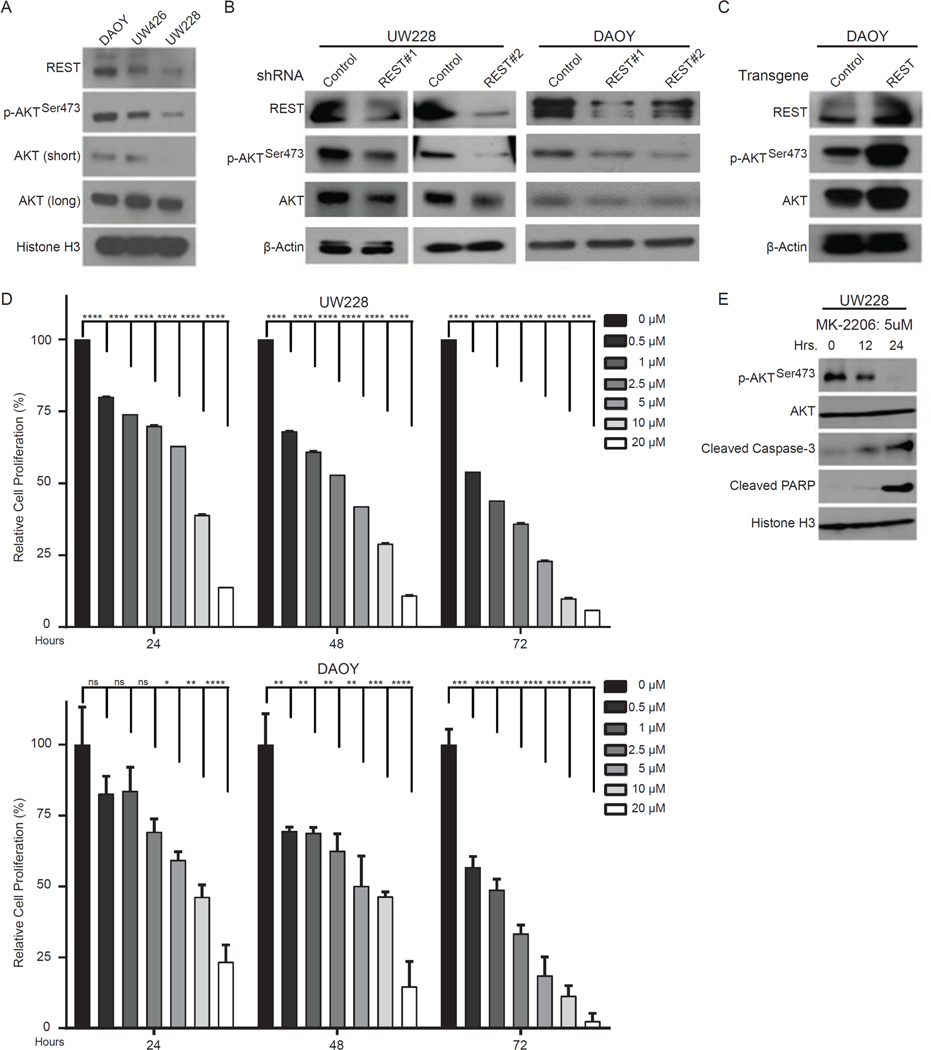 Figure 7: