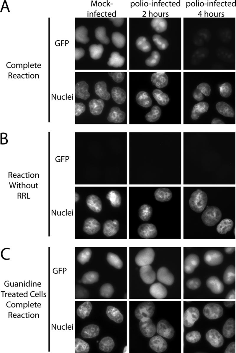 FIG. 4.