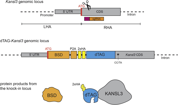 Figure 3