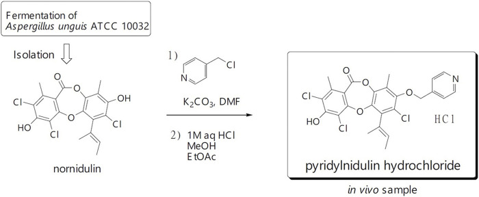 FIGURE 1