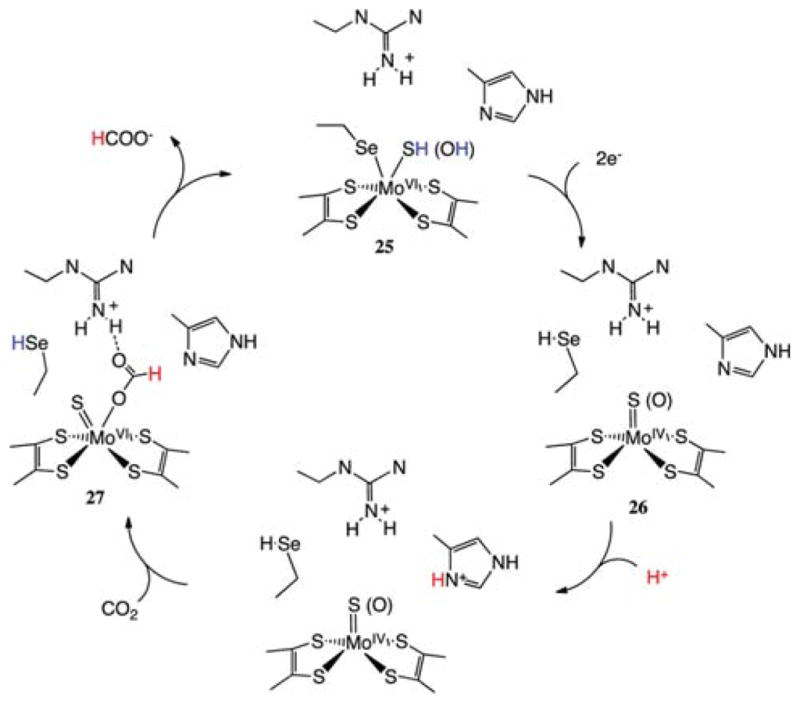 Scheme 6