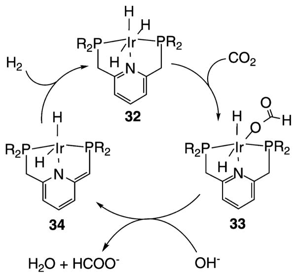 Scheme 7