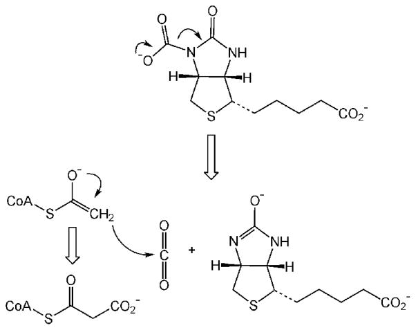 Scheme 14