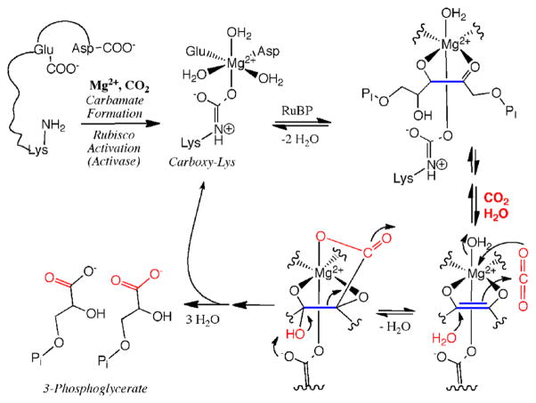 Scheme 15