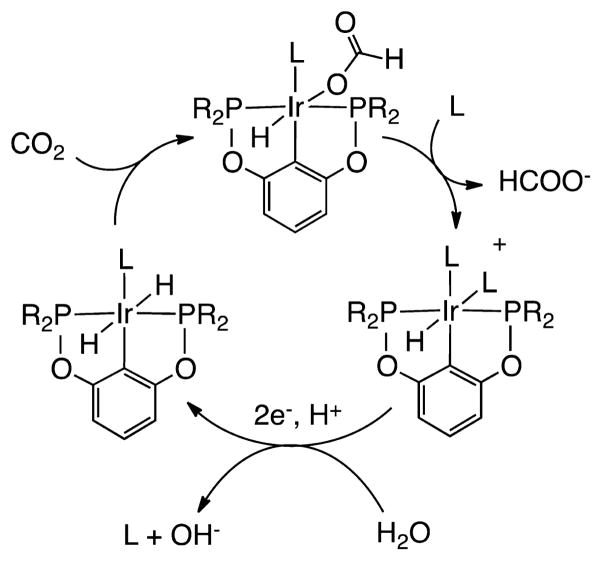 Scheme 4