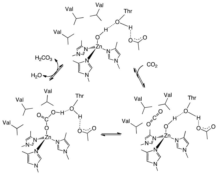 Scheme 16