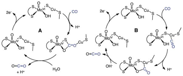 Scheme 3