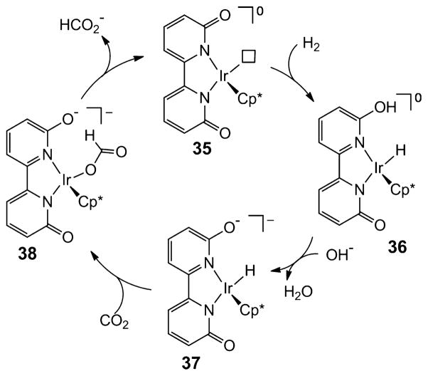 Scheme 8