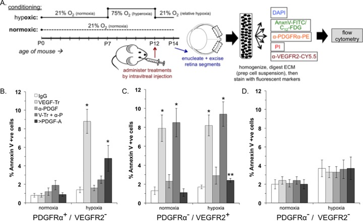 FIG 3