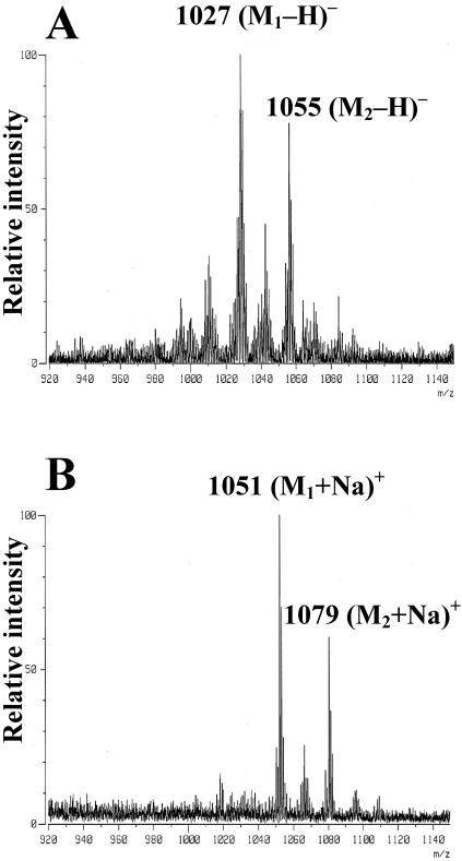 FIG. 2.