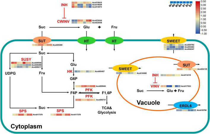 FIGURE 7