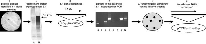 FIG. 1.