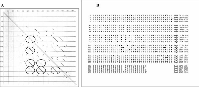 FIG. 5.