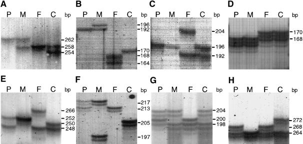 Figure  2