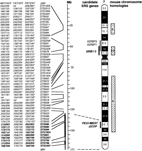 Figure  3