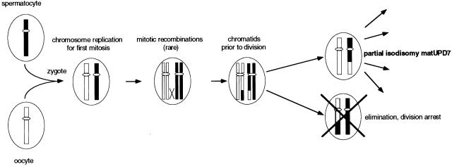 Figure  4