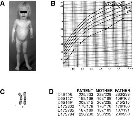 Figure  1