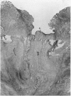 352-4