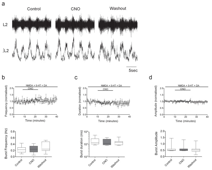 Figure 3—figure supplement 1.