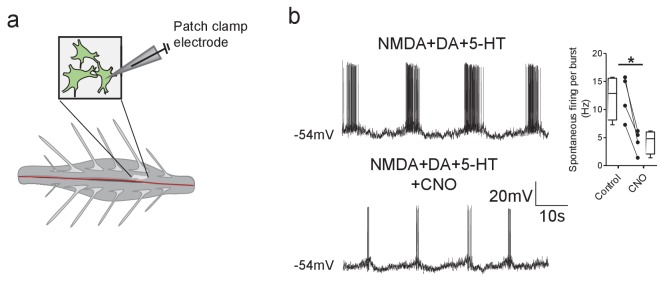 Figure 4.