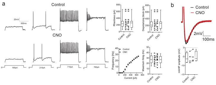 Figure 7—figure supplement 1.