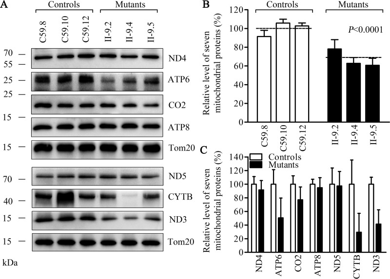 Figure 6.